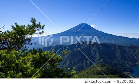從禦坂山和金梨山看富士山和群山 從禦坂山和金梨山看富士山和群山 83203025