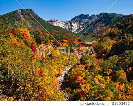 Autumn leaves of Tokachidake Onsen Autumn leaves of Tokachidake Onsen 83203455