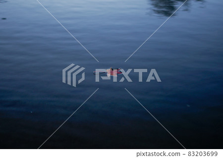 Autumn leaves on the waterside 83203699