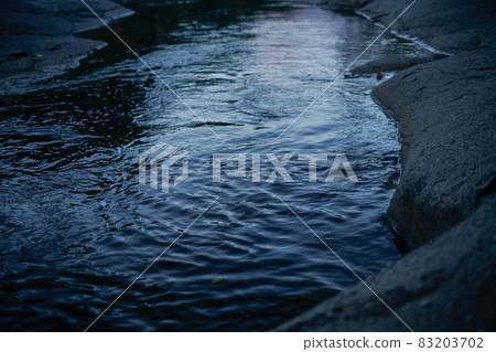 Autumn leaves on the waterside 83203702