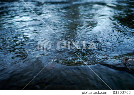 Autumn leaves on the waterside 83203703