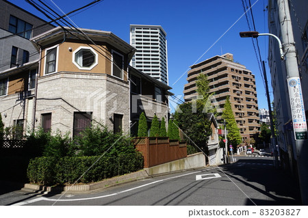 1195年10月港區白金台5丁目豪華住宅區 83203827