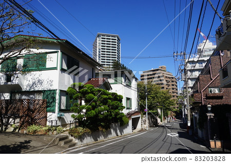 October 1194, Minato-ku, luxury residential area, Shirokanedai 5-chome 83203828