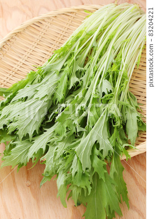 水菜 水菜 83204221
