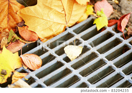 Deciduous leaves that collect in the drain 83204235
