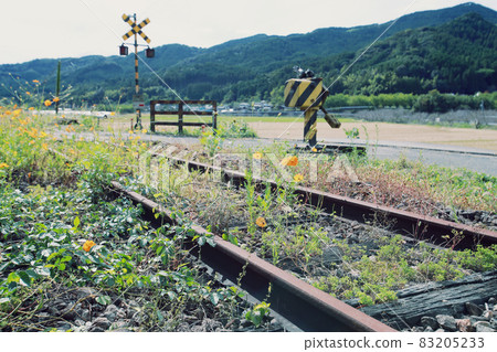 Railroad tracks that were abandoned due to disasters or deficits Railroad tracks that were abandoned due to disasters or deficits 83205233
