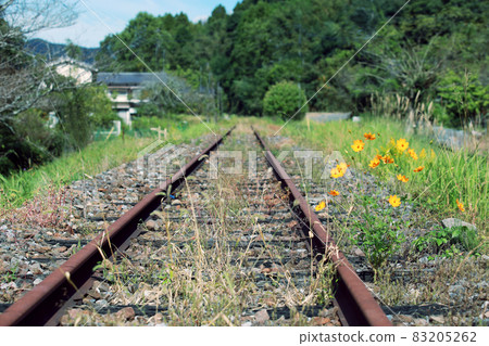 Railroad tracks that were abandoned due to disasters or deficits 83205262