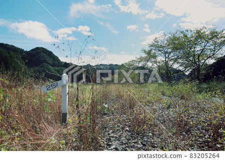 Railroad tracks that were abandoned due to disasters or deficits 83205264