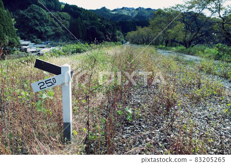 Railroad tracks that were abandoned due to disasters or deficits 83205265