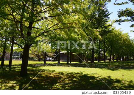 I went to the Ibaraki Prefectural History Museum # 21 I went to the Ibaraki Prefectural History Museum # 21 83205429