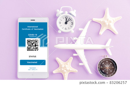 Model airplane, passport and immunity pass are arranged application on smartphone Model airplane, passport and immunity pass are arranged application on smartphone 83206257
