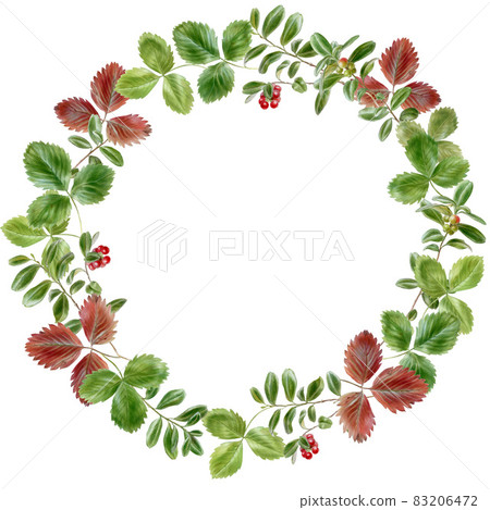 Round frame of green and red strawberry leaves Round frame of green and red strawberry leaves 83206472