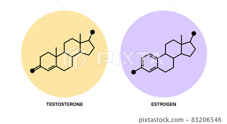 Testosterone and estrogen Testosterone and estrogen 83206546