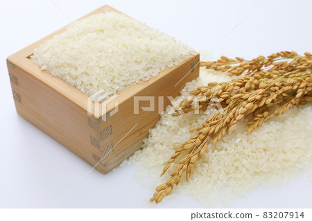 Rice and ear rice Rice and ear rice 83207914