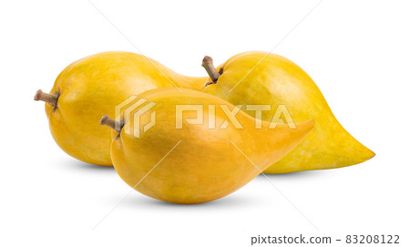 canistel fruit (Egg fruit, Tiesa, Yellow sapote, Canistelsapote, Chesa, Pouteria lucuma) isolated on white canistel fruit (Egg fruit, Tiesa, Yellow sapote, Canistelsapote, Chesa, Pouteria lucuma) isolated on white 83208122