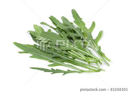 wild rocket leaves isolated on white wild rocket leaves isolated on white 83208301