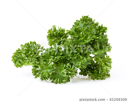 Fresh Parsley isolated on white 83208309