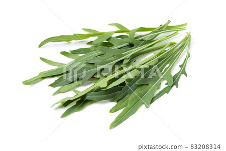 wild rocket leaves isolated on white 83208314