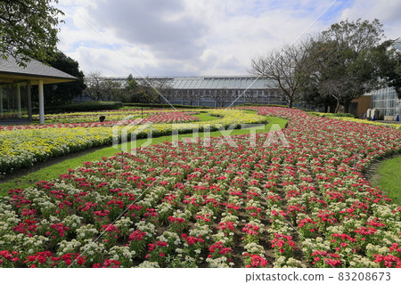 Nabana no Sato Autumn Flowers Nabana no Sato Autumn Flowers 83208673