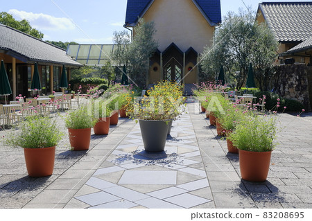 Nabana no Sato Autumn Flowers Nabana no Sato Autumn Flowers 83208695