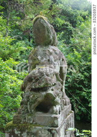 來勢洶洶的狗（島根縣玉江市玉造神社/玉造） 83208937