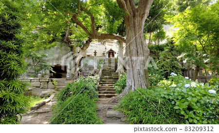 Eishoji Temple in Nishi-Kamakura 83209312