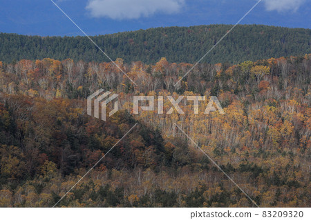 [Biei-cho, Hokkaido] Scenery of autumnal mountains in October 83209320