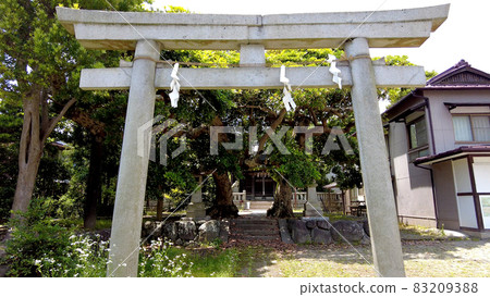 西鎌倉辰巳神社 西鎌倉辰巳神社 83209388