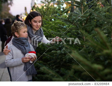 Happy tween boy with mother choosing Xmas tree at market Happy tween boy with mother choosing Xmas tree at market 83209464