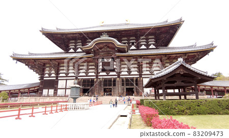 奈良東大寺和櫻花 奈良東大寺和櫻花 83209473