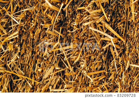 Background of a dried straw bale close-up 83209728