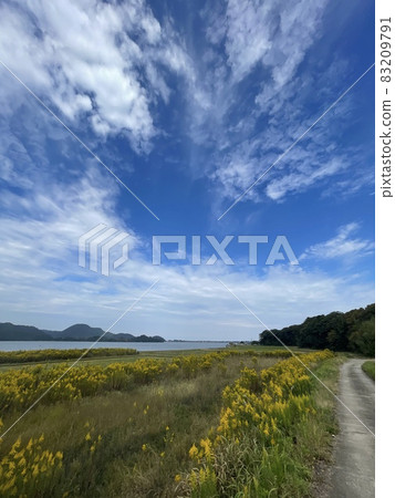 Kanzaki, Kumihama-cho, Kyotango-shi Tall foaming grass and Kumihama Bay 83209791