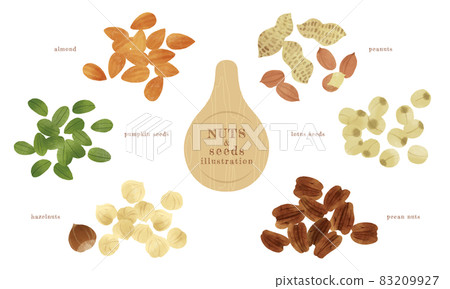 Hand-drawn illustrations of various nuts-2 83209927