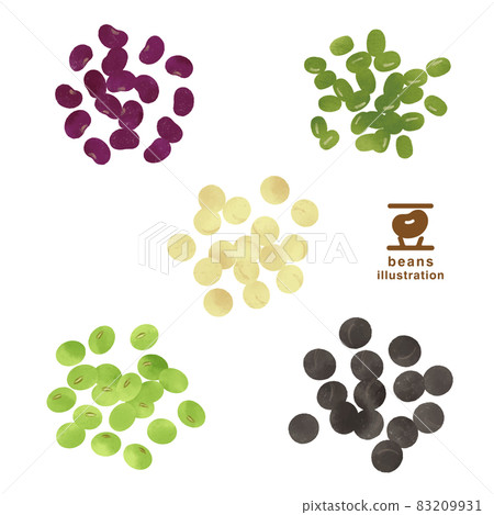 Hand-drawn illustrations of various beans-3 83209931