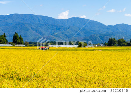無人機農業利用影像秋季田園風光 無人機農業利用影像秋季田園風光 83210546
