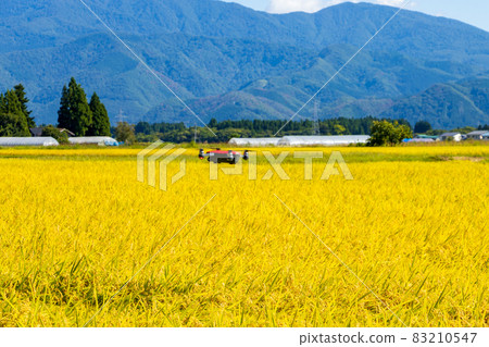 Image of drone agriculture utilization Autumn rural scenery Image of drone agriculture utilization Autumn rural scenery 83210547