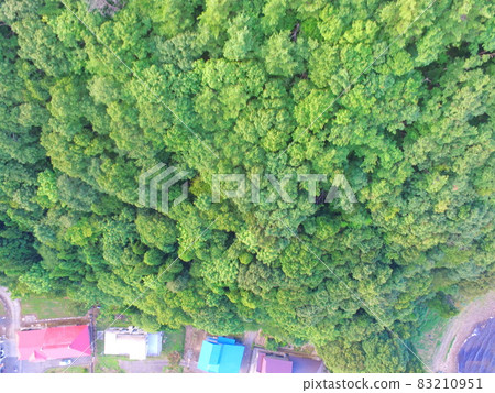 Dense forest-Aerial view with drone (Lake Inawashiro / West Bank / Minatomachi Oaza Akai Yashiki, Aizuwakamatsu City, Fukushima Prefecture) Dense forest-Aerial view with drone (Lake Inawashiro / West Bank / Minatomachi Oaza Akai Yashiki, Aizuwakamatsu City, Fukushima Prefecture) 83210951