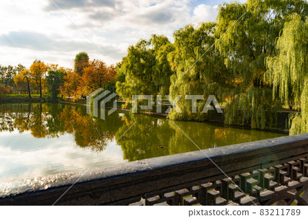 Moscow, view of the pond in the Novodevichy Ponds Park. Moscow, view of the pond in the Novodevichy Ponds Park. 83211789