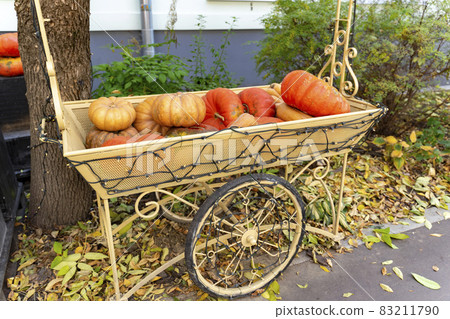 Pumpkins in the cart. Autumn still life. Pumpkins in the cart. Autumn still life. 83211790