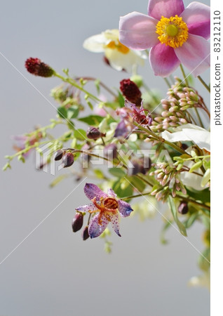 秋花的佈置 83212110