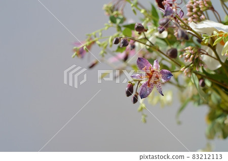 Arrangement of autumn flowers 83212113