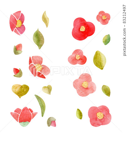 watercolor set snow camellia, tsubaki set hand-drawn 83212497