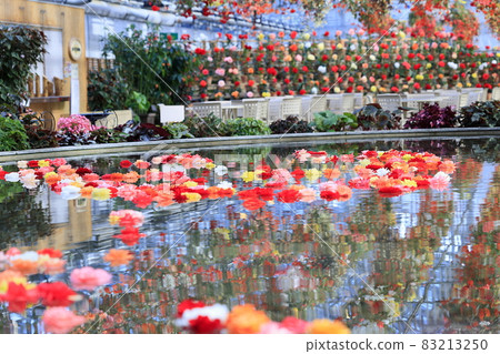 長野村海棠花園 83213250
