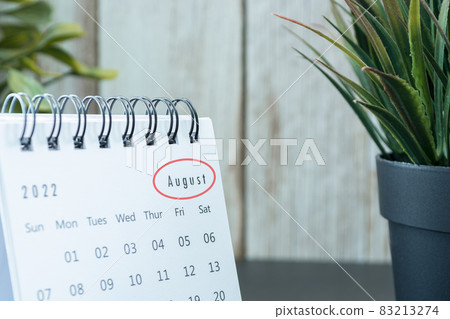 Blurred white August 2022 calendar with potted plant. New Year Concept Blurred white August 2022 calendar with potted plant. New Year Concept 83213274