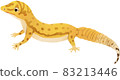 Leopard gecko 83213446