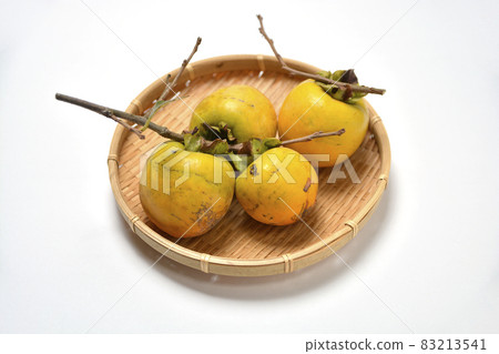 persimmon persimmon 83213541