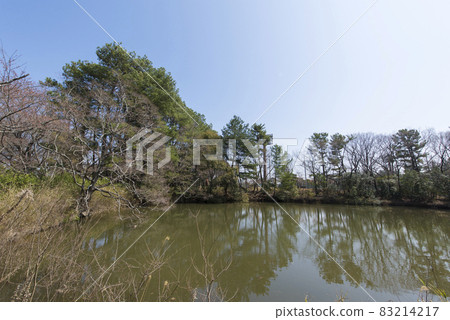 冰岡山公園池塘(兵庫縣加古川市) 冰岡山公園池塘(兵庫縣加古川市) 83214217