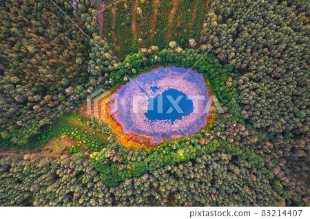 Aerial panoramic view of swamp lake at Autumn, Lithuania Aerial panoramic view of swamp lake at Autumn, Lithuania 83214407