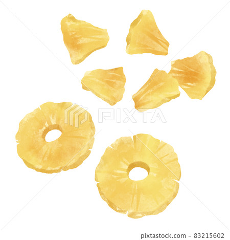 乾果（菠蘿）手繪插畫 83215602