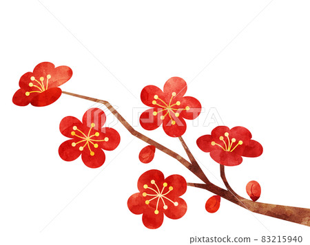 Illustration of plum branches processed in watercolor style Illustration of plum branches processed in watercolor style 83215940